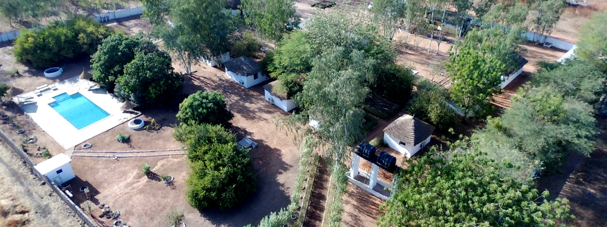 Lodges et allées ombragées du campement, vue aérienne