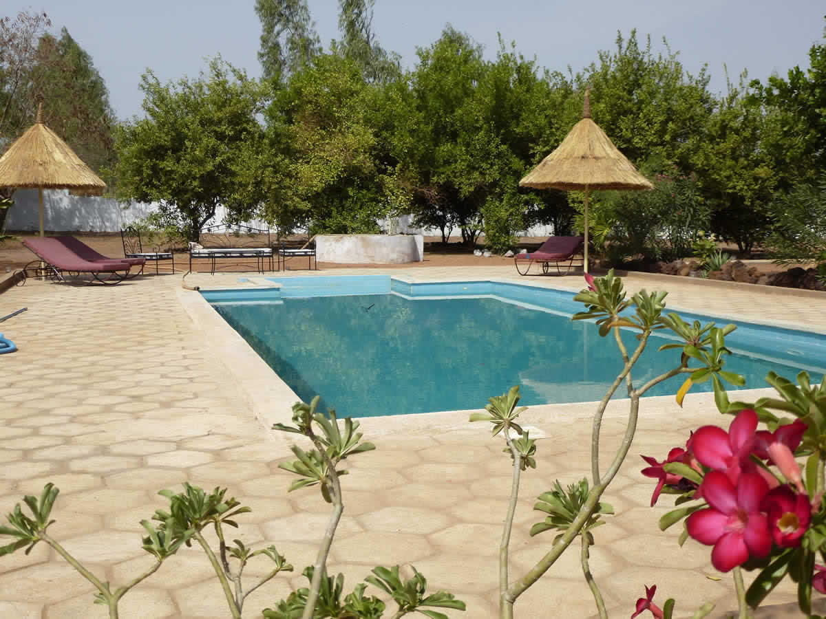 La piscine et sa terrasse, bordées de citronniers et de lauriers roses