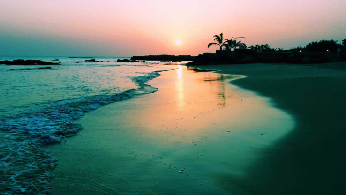 Plage bordée de palmiers au coucher du soleil