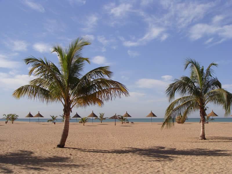 Plage de sable blanc, cocotiers et paillotes