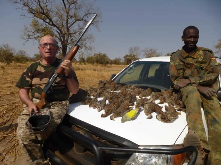 Chasseur et pisteur, les tourterelles alignées sur le capot du 4x4